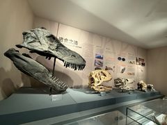 -自贡恐龙博物馆