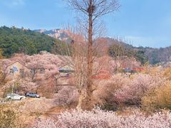 -崂山九水游览区