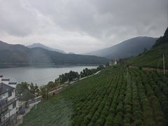 -黄牛肉馆·皖南土菜
