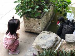 -厦门日月谷温泉渡假村