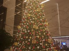 -上海宝华万豪酒店