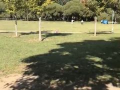 -泰丰公园