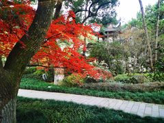 -浙江西子宾馆·瑶园咖啡厅