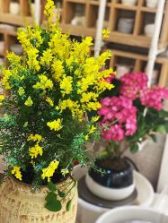 -今日陶艺(富力广场店)