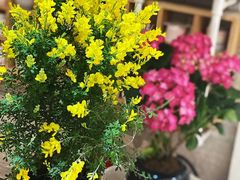 -今日陶艺(富力广场店)
