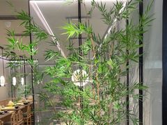 -绿茶餐厅(青岛城阳万象汇店)