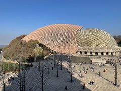 -牛首山文化旅游区