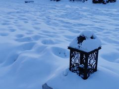 -哈尔滨热雪奇迹