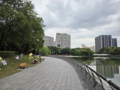 -南翔镇银翔湖公园
