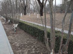 -元大都城垣遗址公园