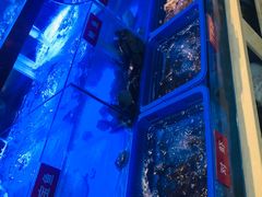 -小龍鳳·港式海鲜打边炉(沙湖路店)