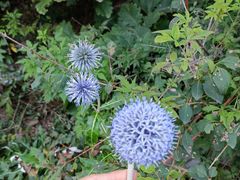 -焦作青龙峡风景名胜区