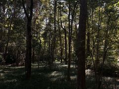 -成都杜甫草堂博物馆