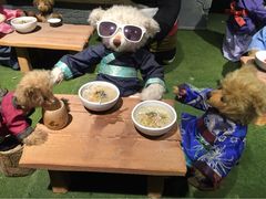 -成都泰迪熊博物馆