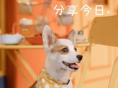 -嗨皮儿·现蒸面皮(抄纸巷店)