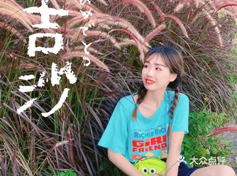 广州大吉沙岛/宫崎骏的夏天荔枝成熟时～