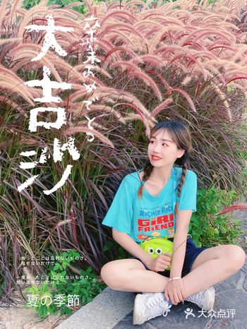 广州大吉沙岛/宫崎骏的夏天荔枝成熟时～