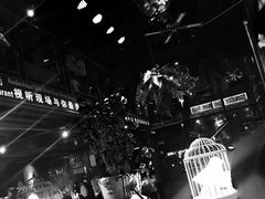 -唐伯虎新派湘菜馆(石夏时代广场店)