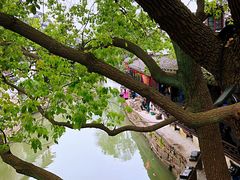 -观桥阁(锦溪店)