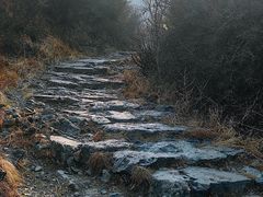 -阳台山自然风景区