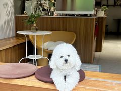 -MOI COFFEE(江山汇悦山府店)