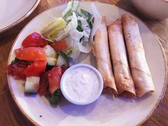 羊肉碎春卷-Elif Turkish BBQ Restaurant