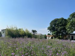 -DORA kids 朵拉儿童摄影花园店