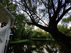 -上海共青森林公园