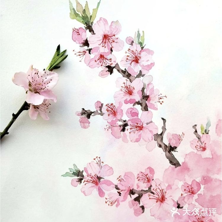你的桃花来了吗[亲亲]
