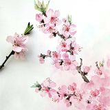 你的桃花来了吗[亲亲]