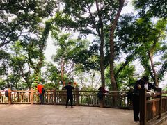 -紫金山山顶公园