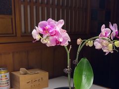 -一叶一世界•素食餐厅(环球中心店)