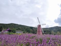 -东海半边山旅游度假区