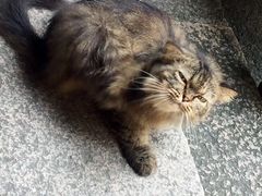 -老屋咖啡