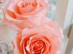 -桔梗花店·鲜花·气球布置(天元店)