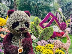 -杭州植物园