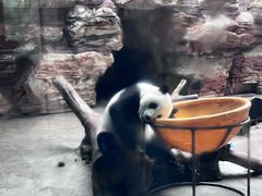 -石家庄市动物园