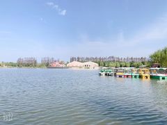 -上海长兴岛郊野公园