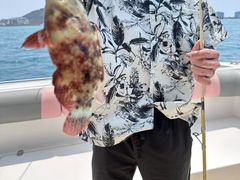 -小猫钓鱼海钓俱乐部(椰梦长廊店)