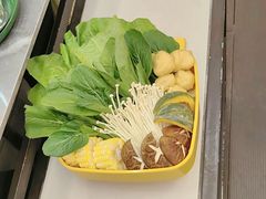 -润园四季椰子鸡火锅(海上世界店)