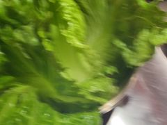-核桃碳烤肉馆(深圳首店)