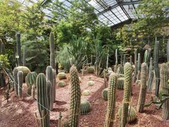 -呀路古热带植物园
