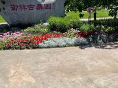 -御林古桑园