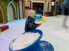 -世界之窗阿尔卑斯冰雪世界