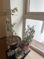 -AGE LOCK 锁龄美肌