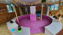 -萌宠亲子动物乐园(槐房万达店)