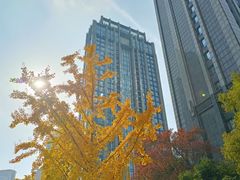 -长江路历史文化街区