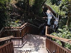 -三亚亚龙湾人间天堂鸟巢度假村
