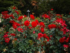 -人民公园(罗湖区)