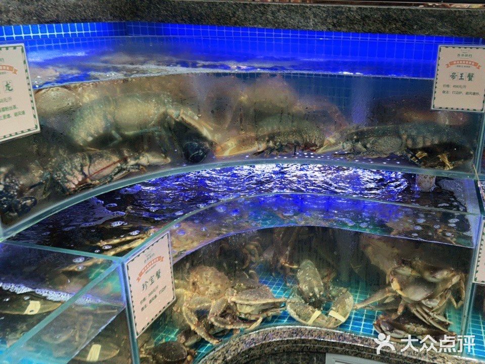 金汤花胶鸡锅是打边炉中的战斗机